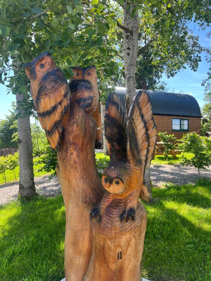 Oakwell Holiday Village Ramelton エクステリア 写真