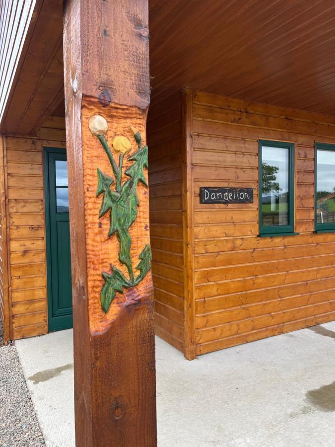 Oakwell Holiday Village Ramelton エクステリア 写真