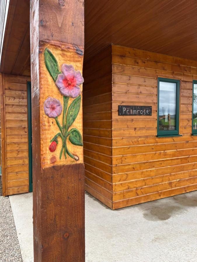 Oakwell Holiday Village Ramelton エクステリア 写真